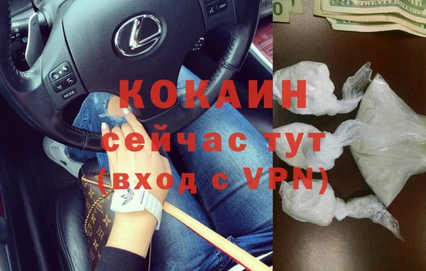 тгк Алзамай