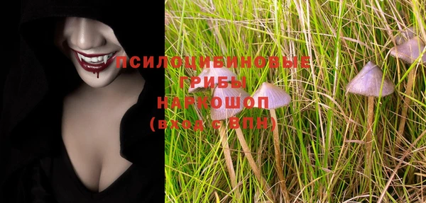 тгк Алзамай
